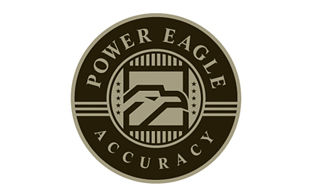 Power Eagle Accuracy Inspection & Detection Logo Design
