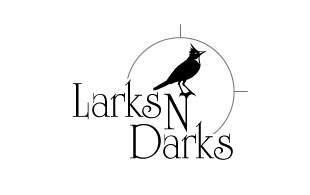 Larks N Darks Photography & Videography Logo Design
