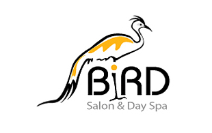 Bird Arty Logo Design