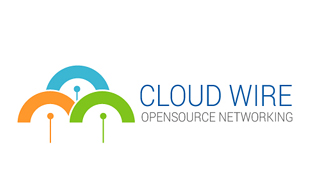 Cloud Wire Corporate Logo Design