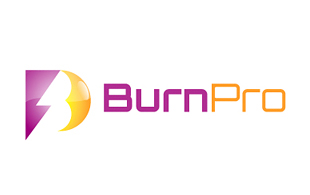 BurnPro Electrical-Electronic Manufacturing Logo Design
