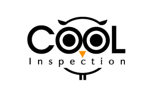 Cool Inspection Inspection & Detection Logo Design