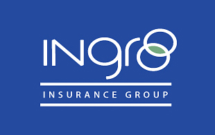 Ingro Insurance Group Insurance & Risk Management Logo Design