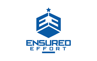 Ensured Effort Insurance & Risk Management Logo Design