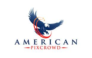American Pixcrowd Investment & Crowdfunding Logo Design