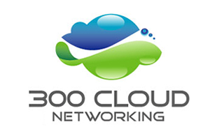 300 cloud Networking IOT Logo Design