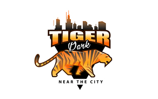 Tiger Dark Masculine Logo Design