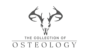 The Collection of Osteology Museums & Institution Logo Design