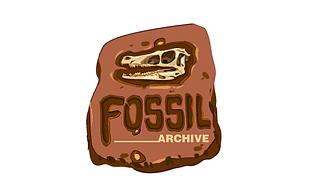 Fossil Archive Museums & Institution Logo Design