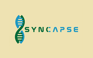 Syncapse Pharmaceuticals Logo Design