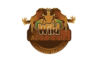 Wild Animals Photography & Videography Logo Design