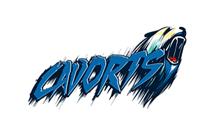 Cavorts Sporty Logo Designs