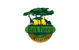 Dark Forest Wildlife & Safari Logo Design