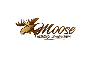 Moose Wildlife & Safari Logo Design