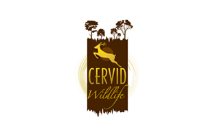 Cervid Wildlife & Safari Logo Design