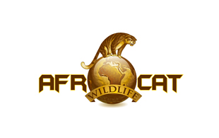 Afr Cat Wildlife & Safari Logo Design