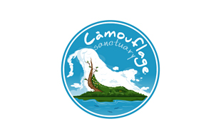 Camouflage Wildlife & Safari Logo Design