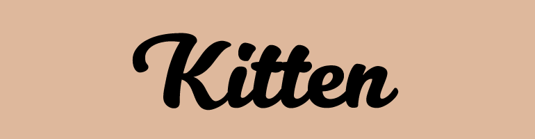 Kitten Font