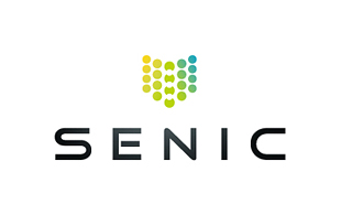 Senic Abstract Logo Design
