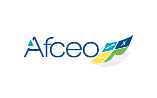 Afceo Accounting & Advisory Logo Design