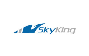 Sky King Airlines-Aviation Logo Design