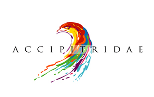 Accipitridae Arty Logo Design
