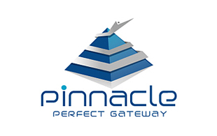 Pinnacle Training & Coaching Logo Design
