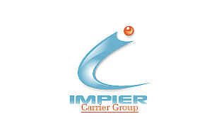 Impier Training & Coaching Logo Design