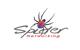 Spider Computer Networking Logo Design