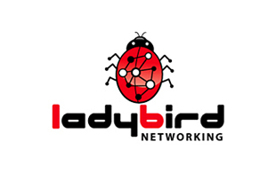Ladybird Computer Networking Logo Design