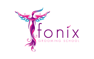 Fonix Feminine Logo Design
