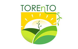Torento Landscaping & Gardening Logo Design