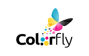 Colorfly Sound Modern Logo Design