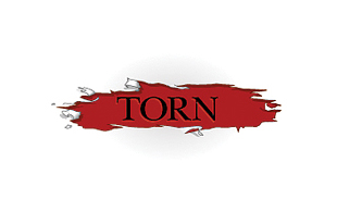 Torn Modern Logo Design