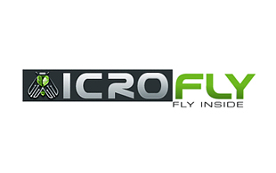 Micro Fly Nanotechnology Logo Design