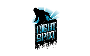 Night Spot Nightclub & Bar Logo Design