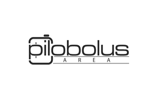 Pilobolus Area Photography & Videography Logo Design