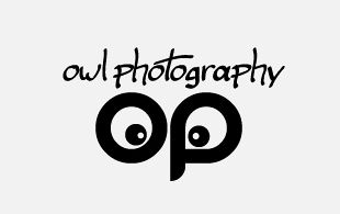 Owl  Photography & Videography Logo Design
