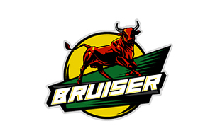 Bruiser Sporty Logo Designs