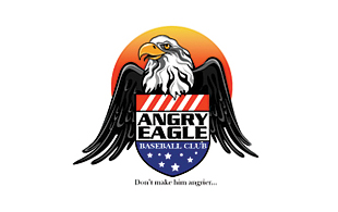 Angry Eagle Sporty Logo Designs