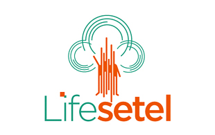 Lifesetel Hub Staffing and Recruiting Logo Design