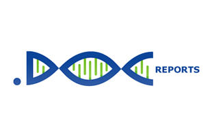 Doc Reports Textual Logo Design