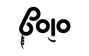 Bolo Wireless & Telecommunication Logo Design